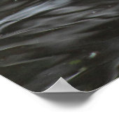 Poster Oie du laitier. Roath Park Lake, Cardiff, Wales Po (Coin)