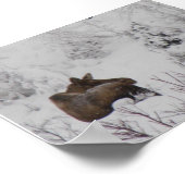 Poster Oie Lone - Logan Guinn (Coin)