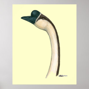 Poster Oie : Tête chinoise Brown