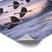 Poster Oies à front blanc en hiver – (Coin)
