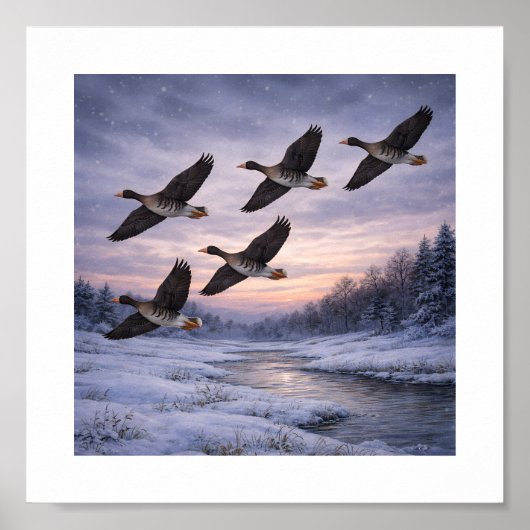 Poster Oies à front blanc en hiver – (Devant)