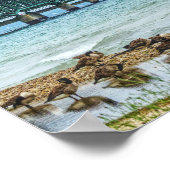 Poster Oies au puissant Mac (Coin)