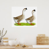 Poster Oies : Buff Africain (Cuisine)