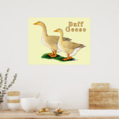 Poster Oies : Buffs américains (Cuisine)