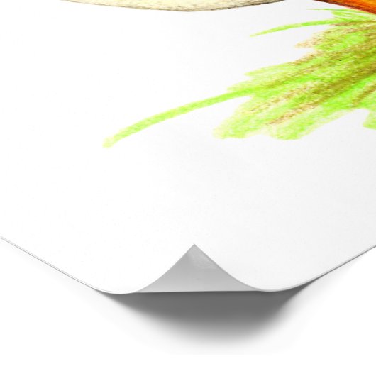 Poster Oies : Chinois Brown (Coin)