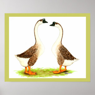 Poster Oies : Chinois Brown