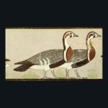 Poster Oies de Meidum, de la Tombe de Nefermaat et<br><div class="desc">Oies meidum de la 4ème dynastie égyptienne,  de la Tombe de Nefermaat et Atet,  Vieux royaume,  c.2620 av. J.-C. (stucco peint) située au Musée National Egyptien,  Le Caire,  Egypte. L'oie de Meidum,  de la Tombe de Nefermaat et Atet a été créée vers 2620 avant JC.</div>