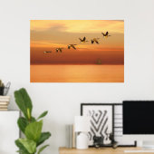 Poster Oies du Canada en vol au coucher du soleil (Bureau à domicile)