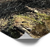 Poster Oies sauvages (Coin)