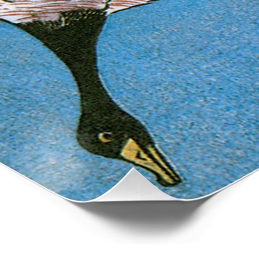 Poster Oies Sauvages Flânant Vers Le Bas À Travers La Lun (Coin)