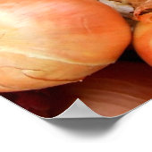 Poster Oignon (Coin)