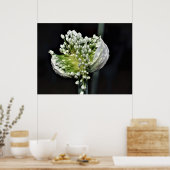 Poster Oignon de printemps (Cuisine)