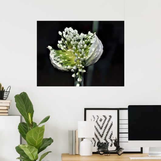 Poster Oignon de printemps (Bureau à domicile)
