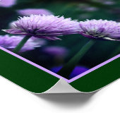 Poster Oignon de Scallion Violet Fleur Vers le haut Abstr (Coin)