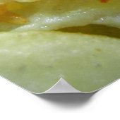 Poster Oignons frits (Coin)