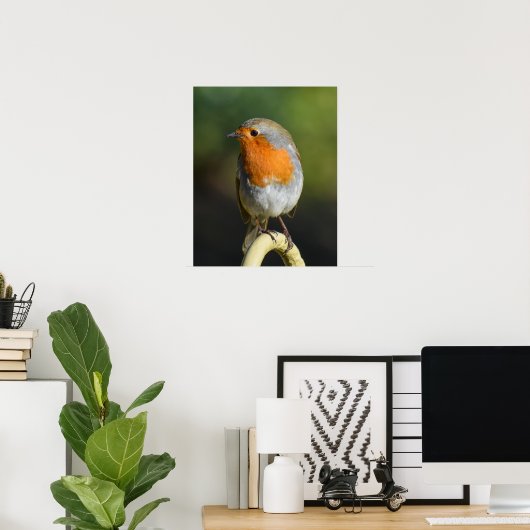 Poster Oiseau (Bureau à domicile)