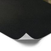 Poster Oiseau (Coin)