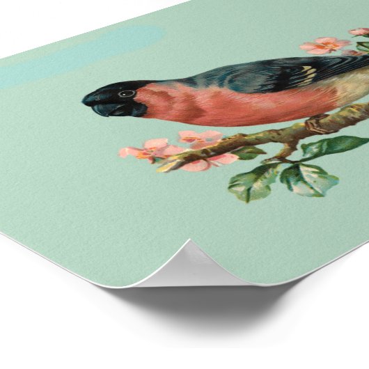 Poster Oiseau (Coin)