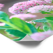 Poster Oiseau (Coin)