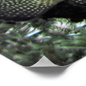 Poster Oiseau à tête bleue (Coin)