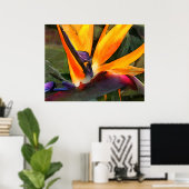 Poster Oiseau Abstrait du paradis (Bureau à domicile)