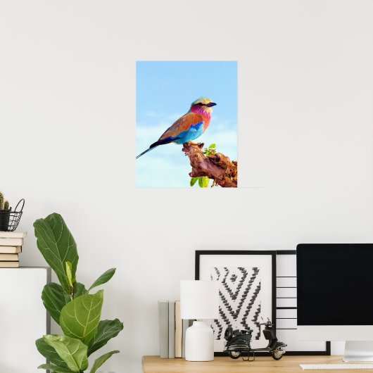 Poster Oiseau africain coloré perché (Bureau à domicile)