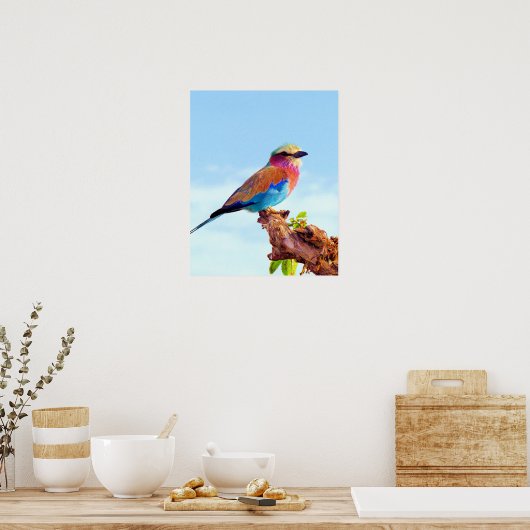 Poster Oiseau africain coloré perché (Cuisine)