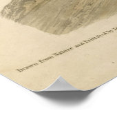 Poster Oiseau, Amérique, Buse à pattes, Audubon, Vintage (Coin)