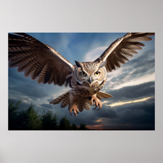 Poster Oiseau animal de hibou Majestic Wilderness (Devant)
