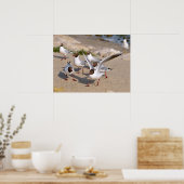Poster Oiseau animal Mouettes à tête noire sur la plage (Cuisine)