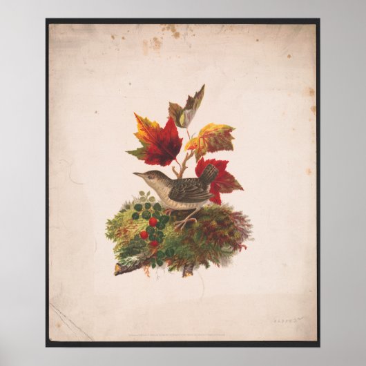 Poster Oiseau Au Foilage D'Automne Illustration Antique (Devant)