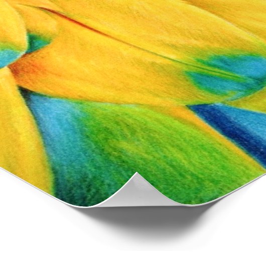 Poster Oiseau au paradis (Coin)