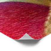 Poster Oiseau baroque français coloré Broderie Phoenix (Coin)