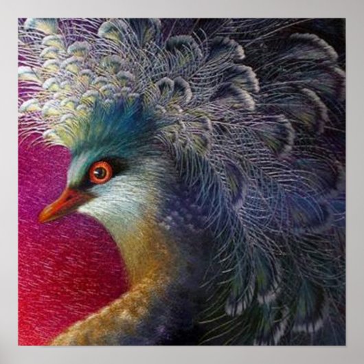 Poster Oiseau baroque français coloré Broderie Phoenix (Devant)