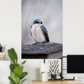 Poster Oiseau Bleu (Bureau à domicile)