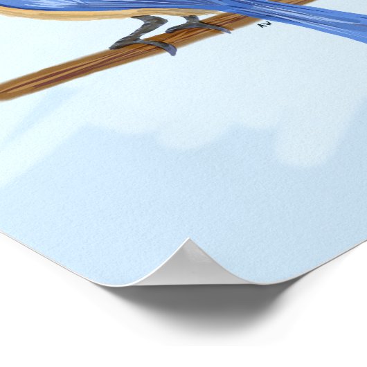 Poster Oiseau bleu (Coin)