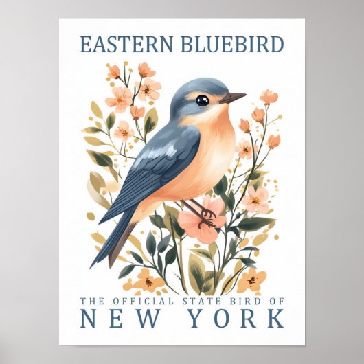 Poster Oiseau bleu de l'Est de New York États-Unis (Devant)