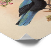 Poster Oiseau bleu fée de Bornéo par John Gould Impressio (Coin)