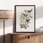 Poster Oiseau Botanique Vintage
