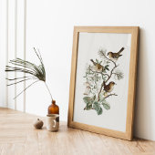 Poster Oiseau Botanique Vintage