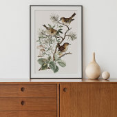 Poster Oiseau Botanique Vintage
