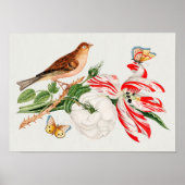 Poster Oiseau Brown sur une branche (Devant)