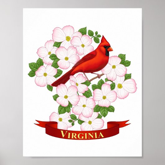 Poster Oiseau cardinal de l'État de Virginie et fleur de (Devant)