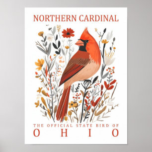 Poster Oiseau cardinal du nord de l'Ohio USA