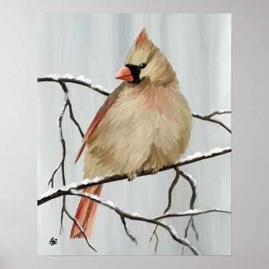 Poster Oiseau Cardinal Du Nord En Hiver (Devant)