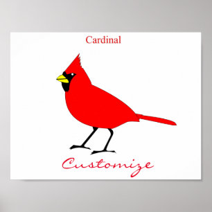 Poster Oiseau cardinal rouge Thunder_Cove