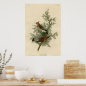 Poster Oiseau cèdre (Cuisine)