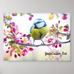 Poster Oiseau chanteur coloré & Fleurs de printemps, Votr