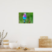 Poster Oiseau coloré (Cuisine)
