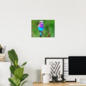 Poster Oiseau coloré (Bureau à domicile)